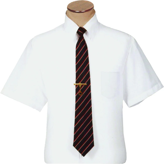 PROFESSIONAL WHITE DRESS SHIRT